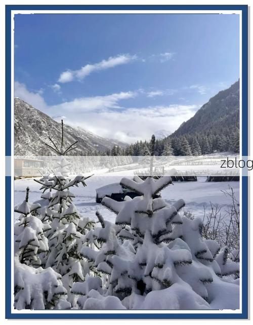 翠峦屏障下的零感染坚守：林海雪原如何构筑防疫孤岛？