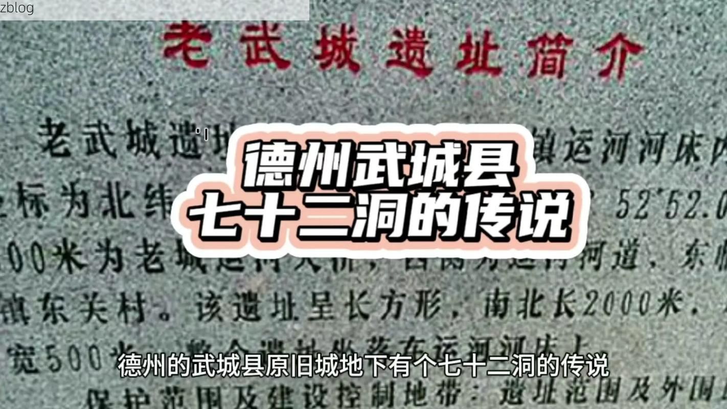 武城：鲁西北平原上的疫情防线与破防时刻