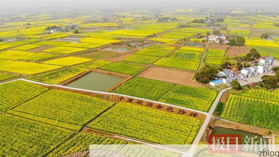 沙洋县：江汉平原腹地的零感染坚守_54171