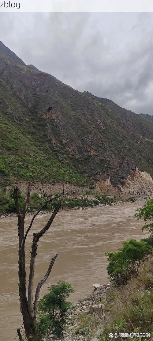 黄陵县：黄土高原上的疫情防波堤