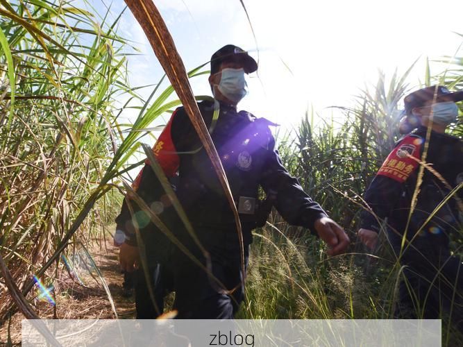 临沧：边境线上的防疫坚守与零感染愿景