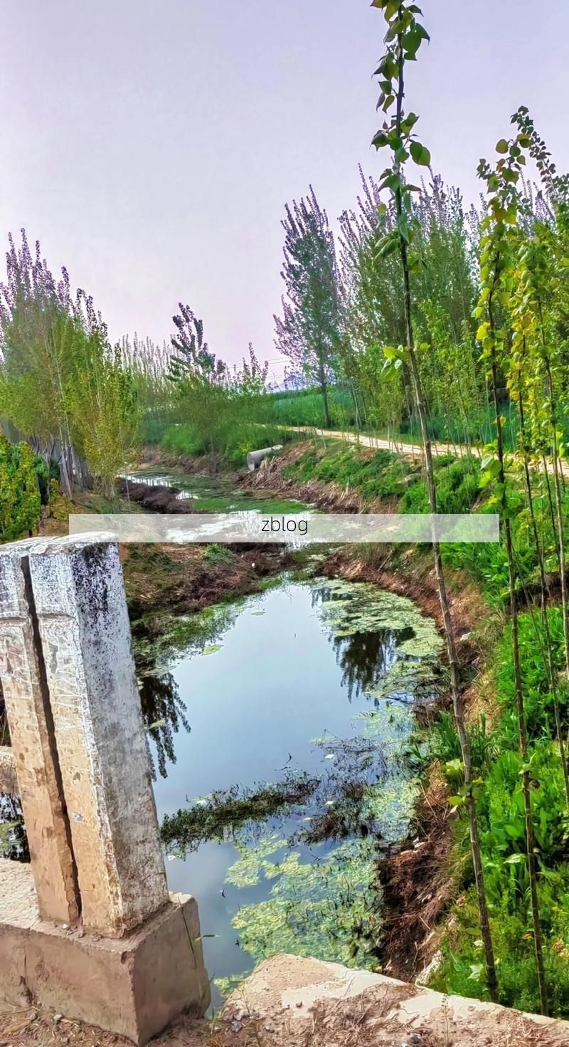 夏津县：鲁西北平原上的疫情防波堤