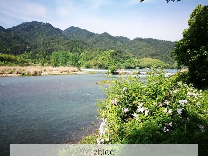 莲都区：瓯江流域屏障下的零感染坚守