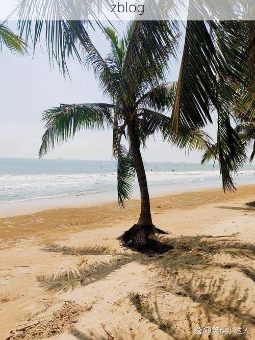 白沙：热带海岛旅游县如何应对疫情输入风险