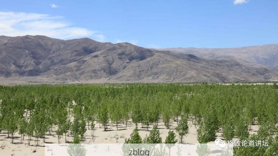 高原屏障下的零感染坚守：改则县防疫地理优势解析_30570