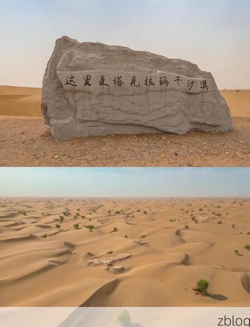 阿拉尔：塔克拉玛干边缘的零感染绿洲如何铸成？