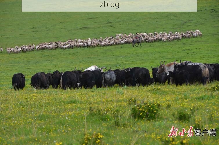 漳平：闽西林海屏障下的低感染样本观察