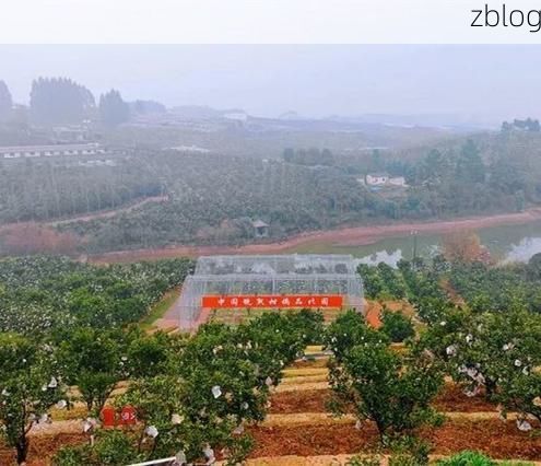 丹棱新增1例无症状感染者  丹棱县疫情防控最新通报_44988