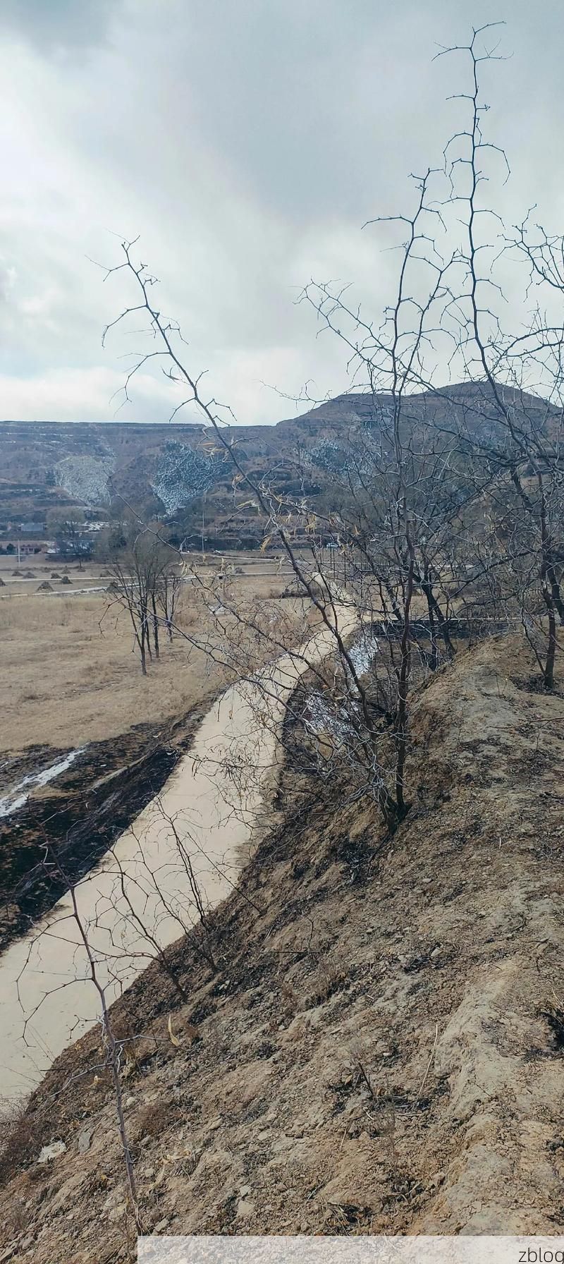 阳高县：晋北旱塬上的零感染坚守