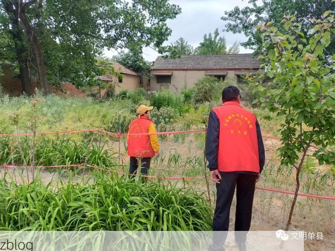 【单县疫情观察：鲁西南平原上的防控样本】