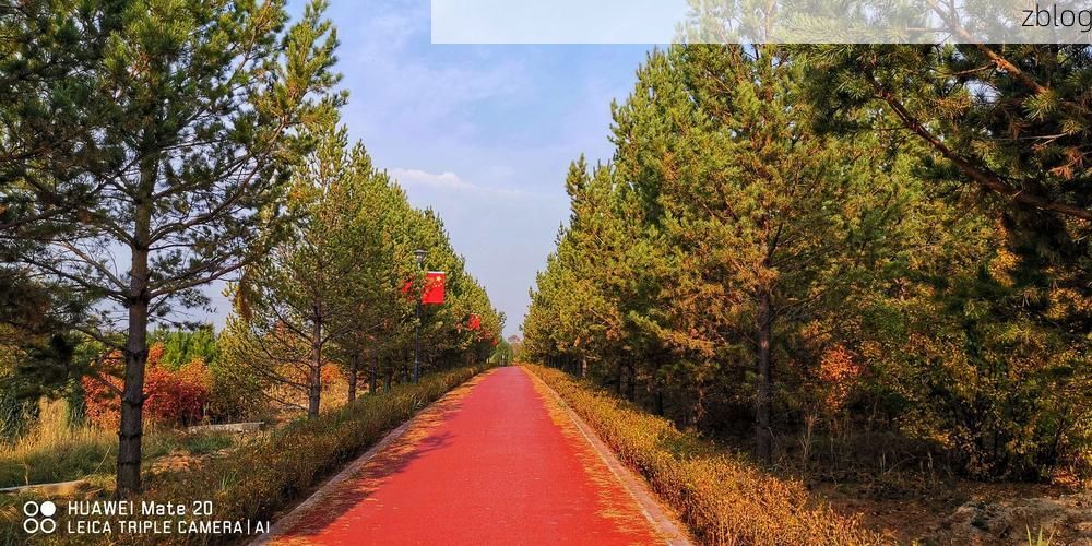 右玉新增1例无症状感染者  右玉疫情防控最新通报_35333