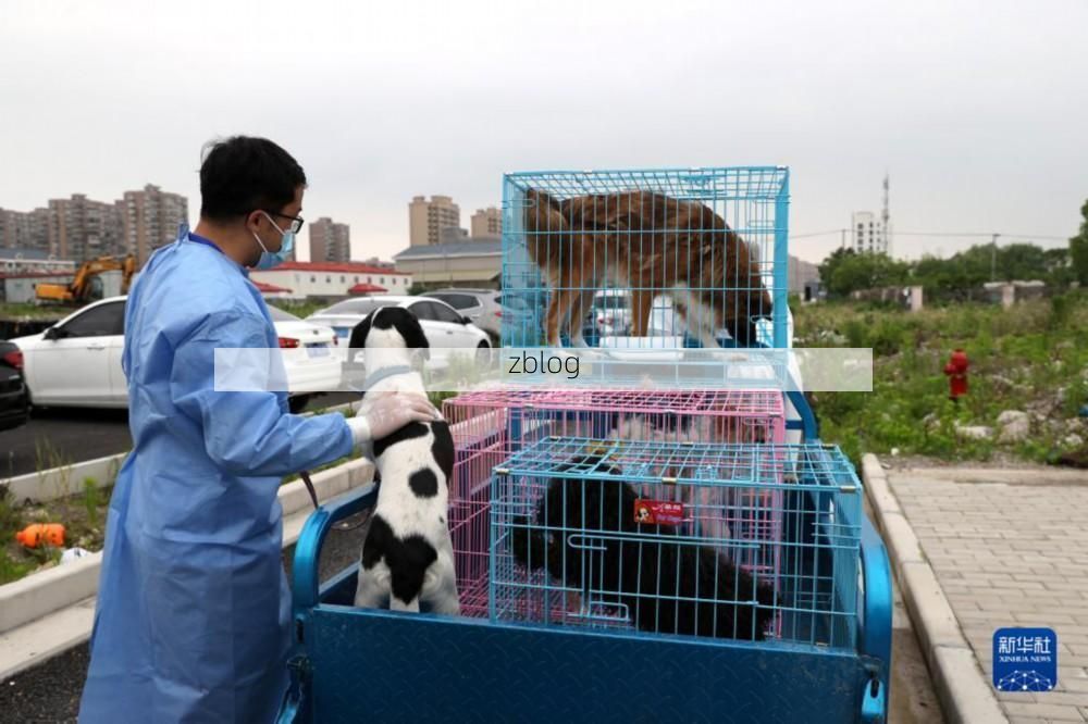 长丰县：江淮腹地交通枢纽下的疫情压力测试