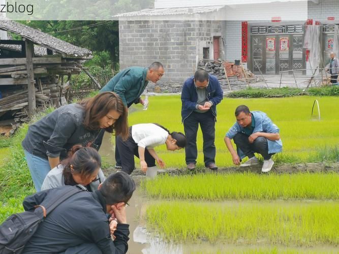31省区市新增12例本土确诊, 平塘县疫情最新消息