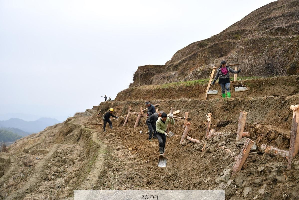 庆阳黄土塬上的防疫坚守：地理屏障与精准防控的三年实践
