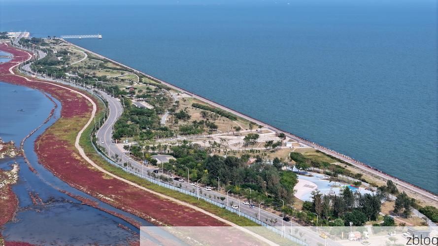 海兴县：渤海湾畔的零感染孤岛，地理屏障如何筑起防疫长城？