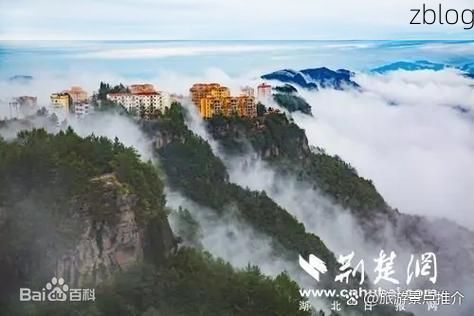 弋江防疫观察:长江南岸的社区防控网格如何阻断传播链?