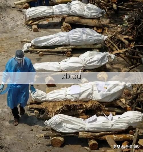 深圳口岸城市压力下的本土疫情溯源