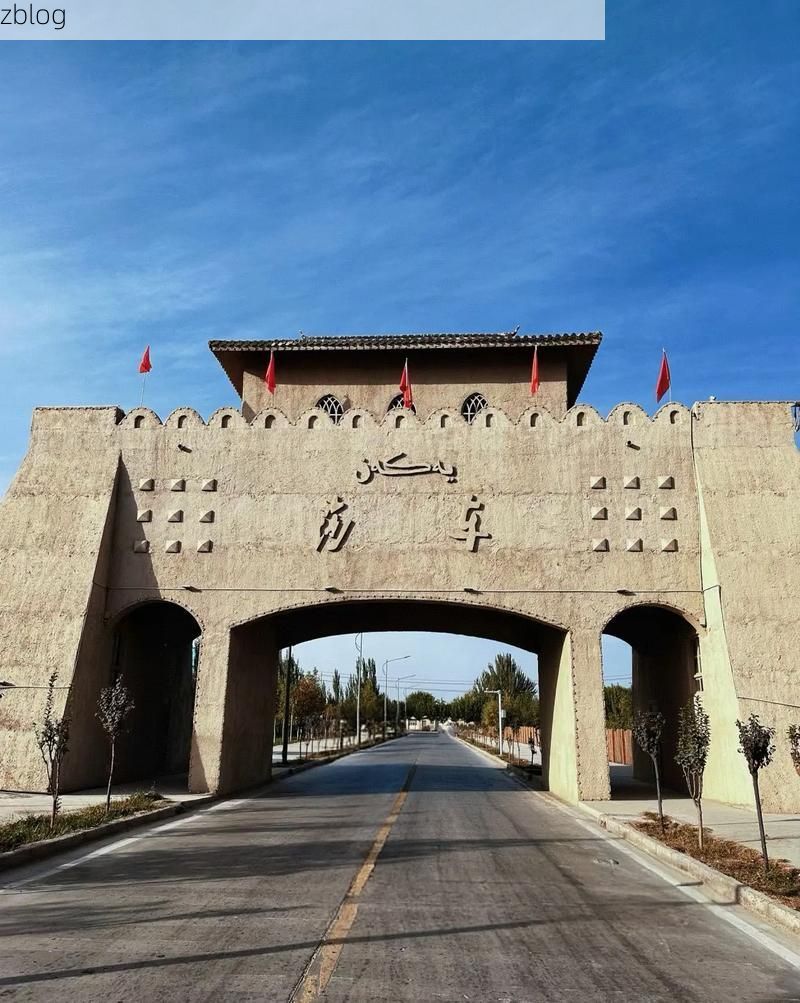 莎车：南疆交通枢纽下的疫情防线与破防时刻