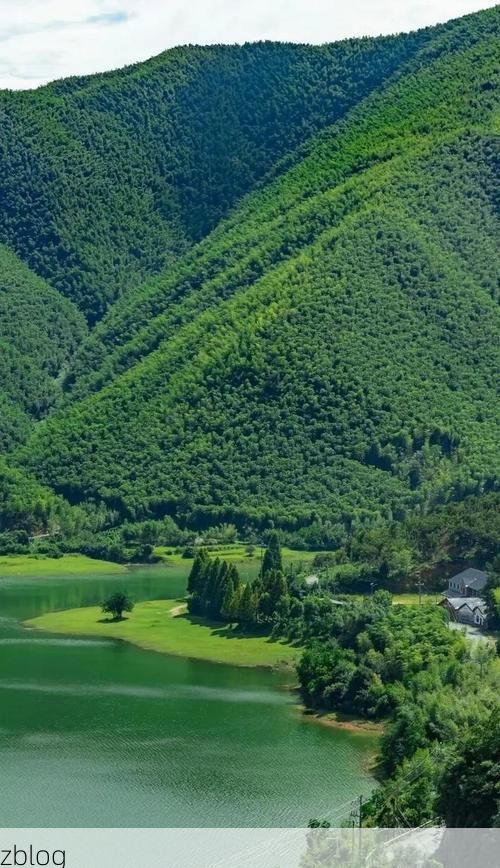 安吉竹海屏障下的零感染坚守:生态腹地的防疫逻辑_59847