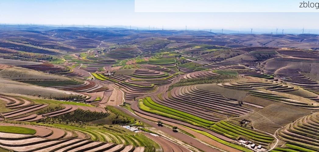 环县：黄土高原沟壑间的疫情防线与破防时刻