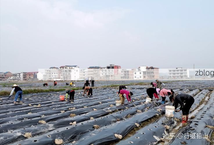 铅山疫情观察：武夷屏障下的防控突围战