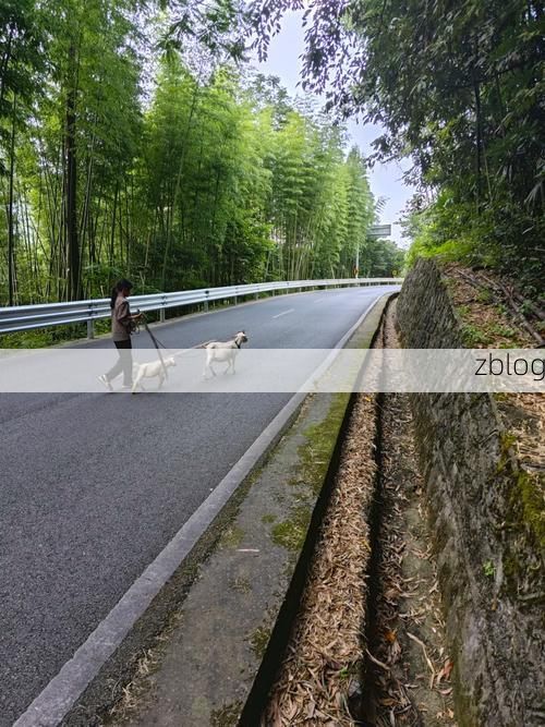 资阳:川中丘陵的防疫屏障与破防时刻_46896