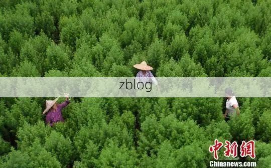 【高原屏障下的零感染坚守:湟中地理优势与防疫逻辑】