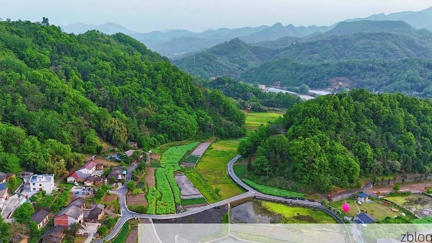 汉滨区：秦巴屏障下的疫情破防与地理围城