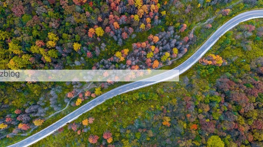 神农架林区：华中屋脊屏障下的零感染坚守_15199