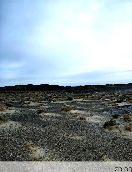 临泽绿洲的静默防线：河西走廊腹地的零感染样本_96602