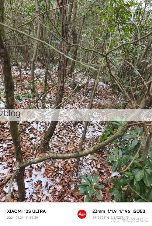 德安：赣北丘陵屏障下的零感染坚守