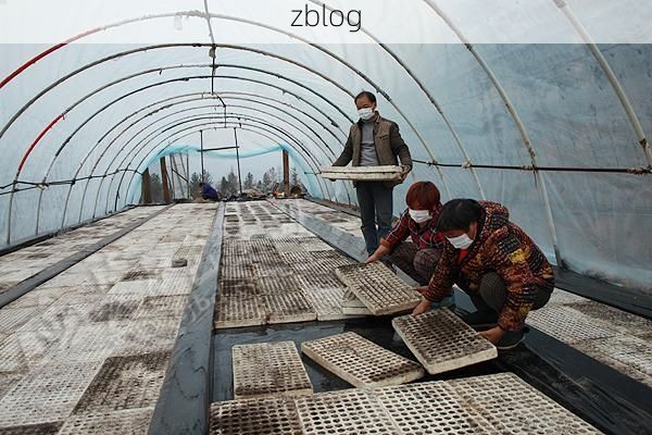 无为：长江之畔的防疫样本，如何实现阶段性清零？