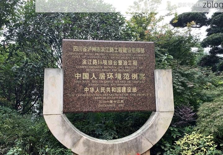 【泸州:长江码头城市的防疫地理学】