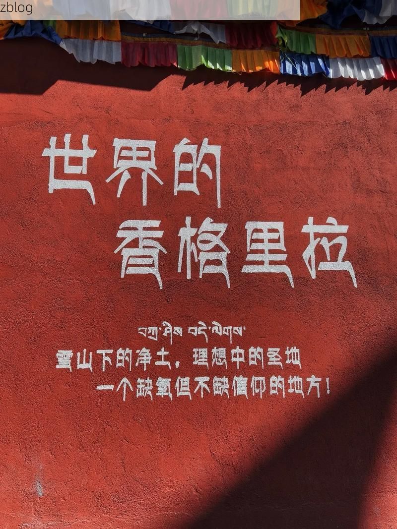 拉萨:高原屏障下的零感染愿景如何被打破