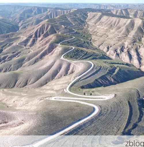 镇原县:黄土高原沟壑间的疫情防波堤_71619