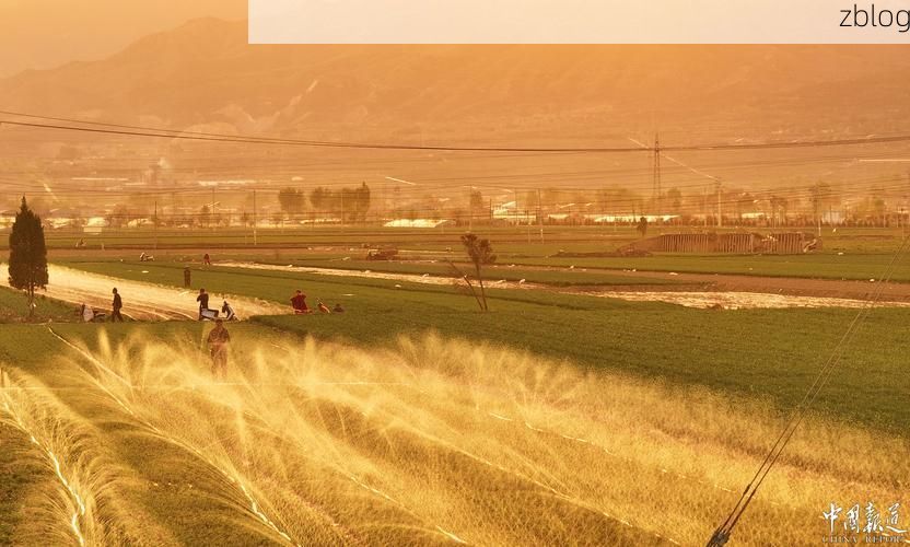 曲沃：晋南粮仓的零感染防线与潜在风险