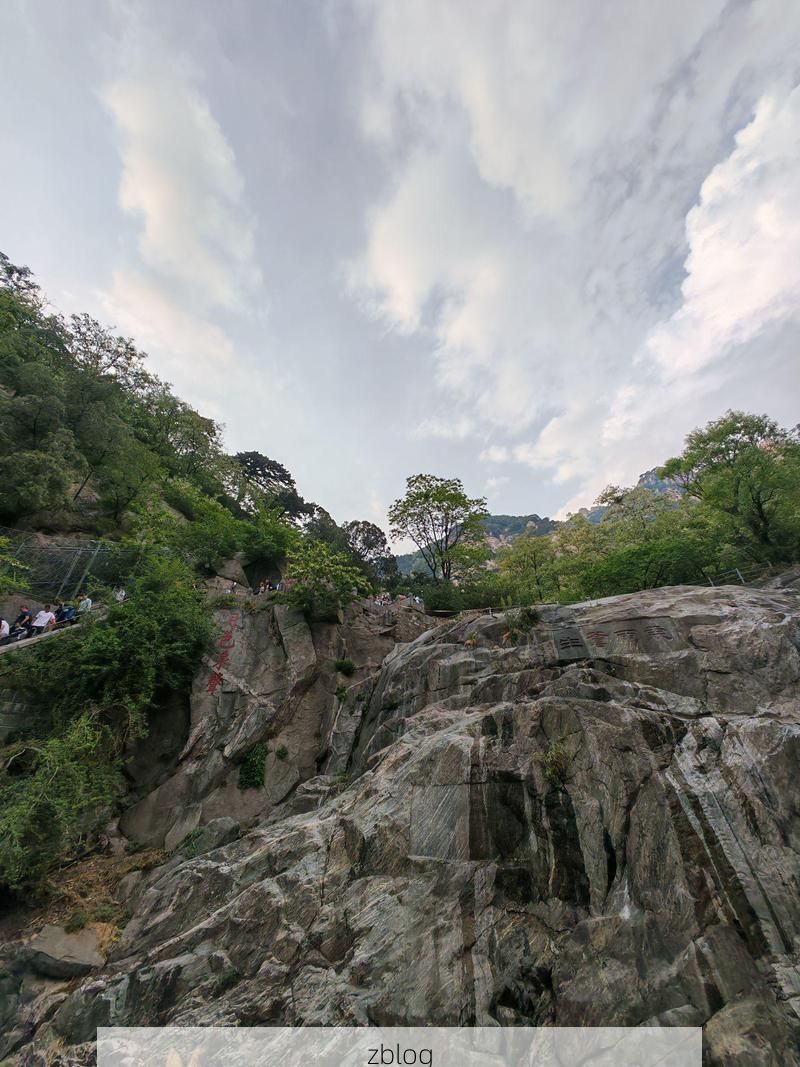 泰安:泰山屏障下的疫情防御与社区破防