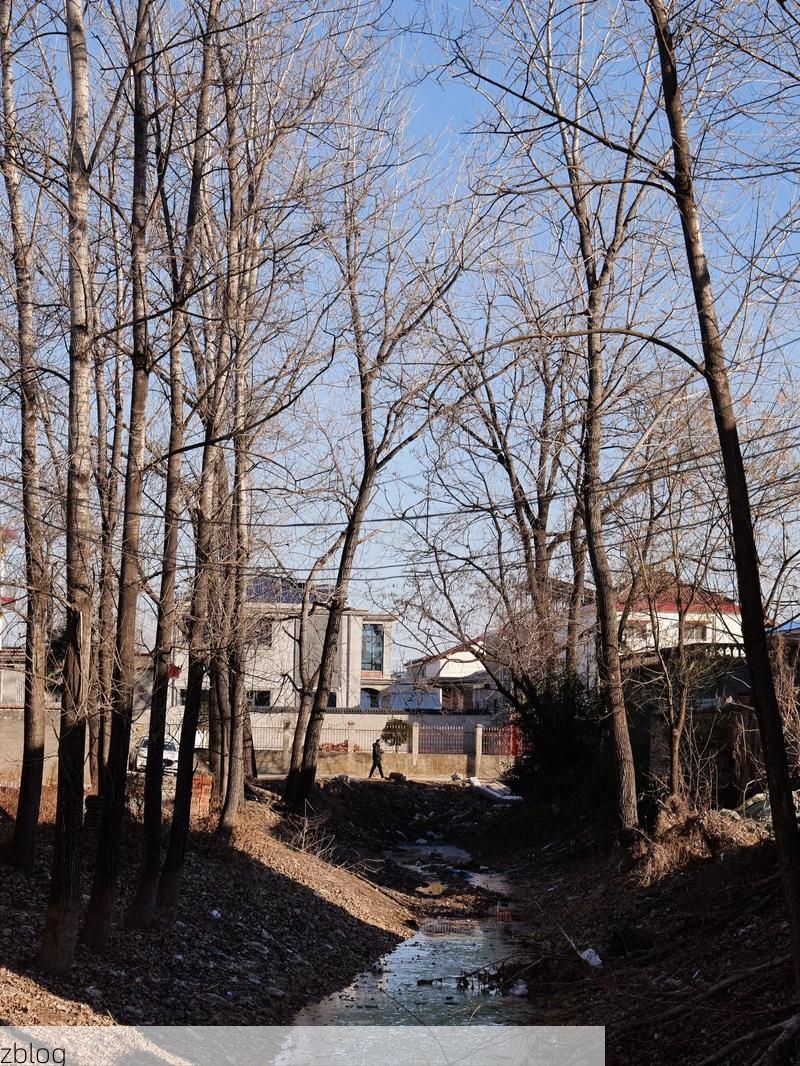 太康县疫情观察:豫东平原交通枢纽的防控压力测试