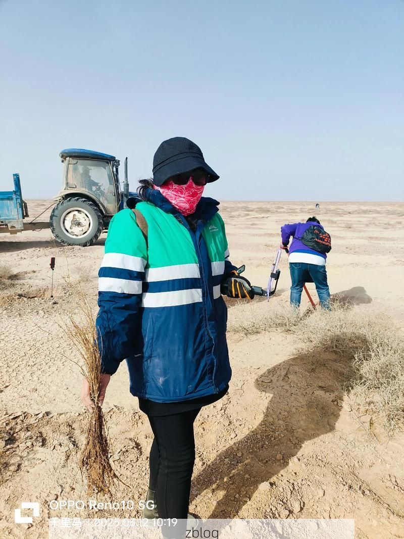 沙漠绿洲的防疫坚守：鄯善县疫情下的地理屏障与社区防控