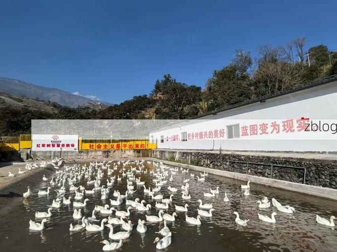 开阳：黔中腹地的疫情防线与地理屏障