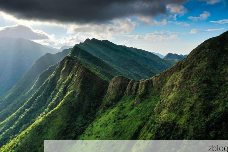 上思：十万大山屏障下的低感染样本解析