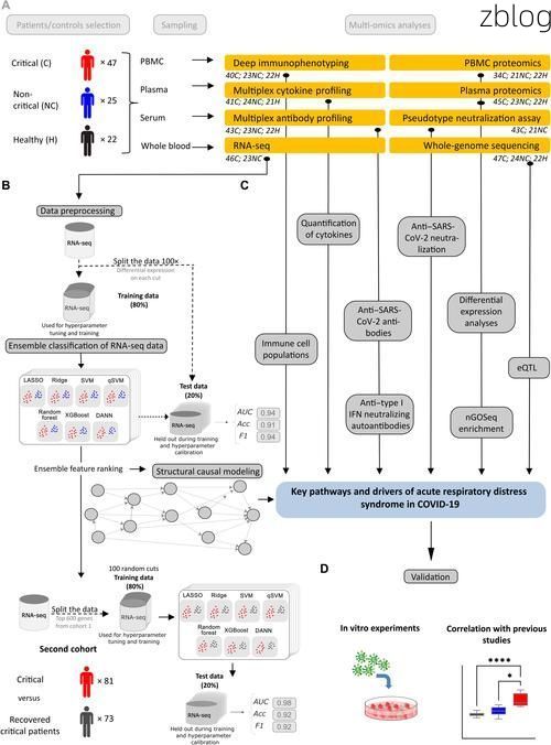 高原屏障下的零感染坚守：玛多县防疫地理学解析