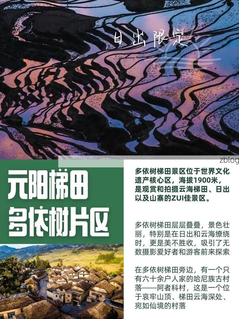 元阳梯田屏障下的防疫坚守：高海拔村寨如何实现零感染？