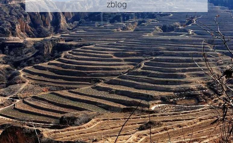 乡宁:黄土高原沟壑间的疫情防波堤_27888