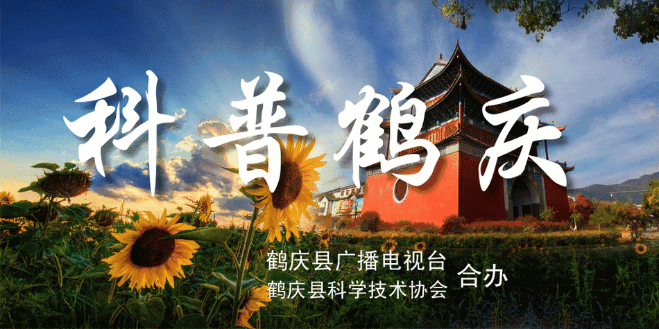 鹤庆新增1例无症状感染者  鹤庆疫情防控最新通报_61691