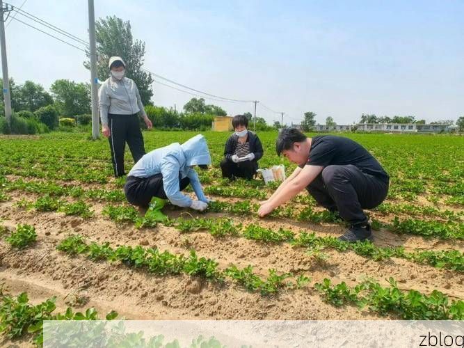 农安县的防疫平衡：松辽平原腹地的防控实践
