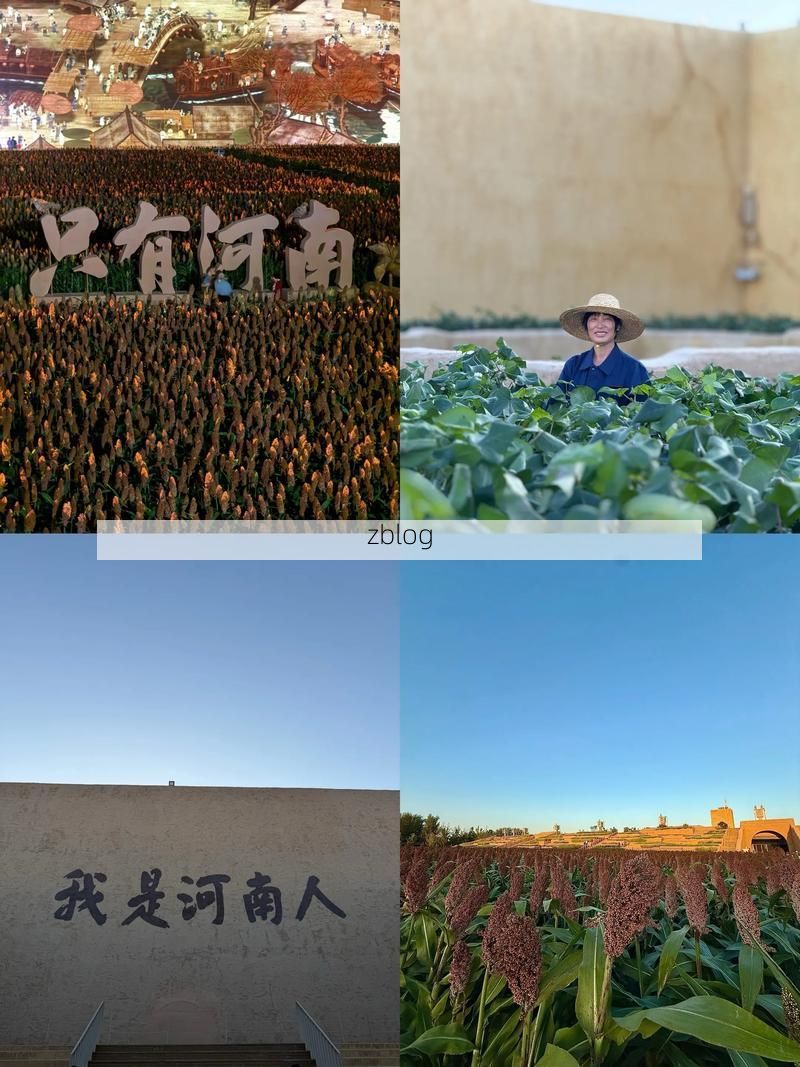 鹿邑：豫东平原的防疫样本与零感染愿景