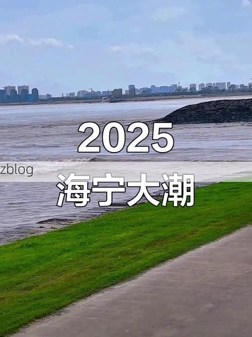 海宁疫情观察:钱塘江畔的防控阻击战