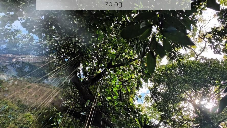 琼中绿肺屏障下的零感染坚守:热带雨林防疫样本解析_65435