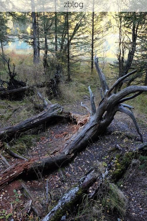 莒南:沂蒙山麓的零感染坚守与地理屏障下的防疫逻辑